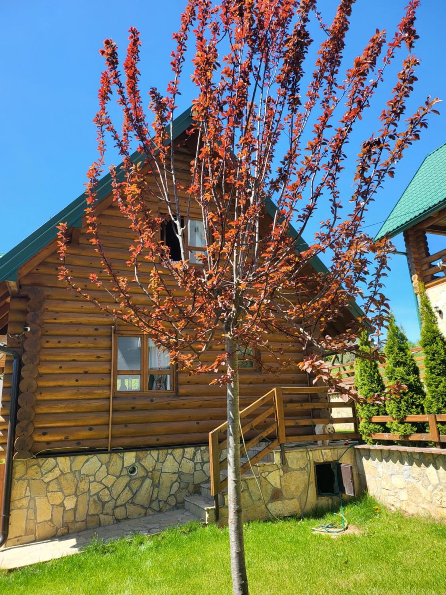 Zlatar Luxury Chalet - Trace Of Nature 2214 Nova Varos Bagian luar foto